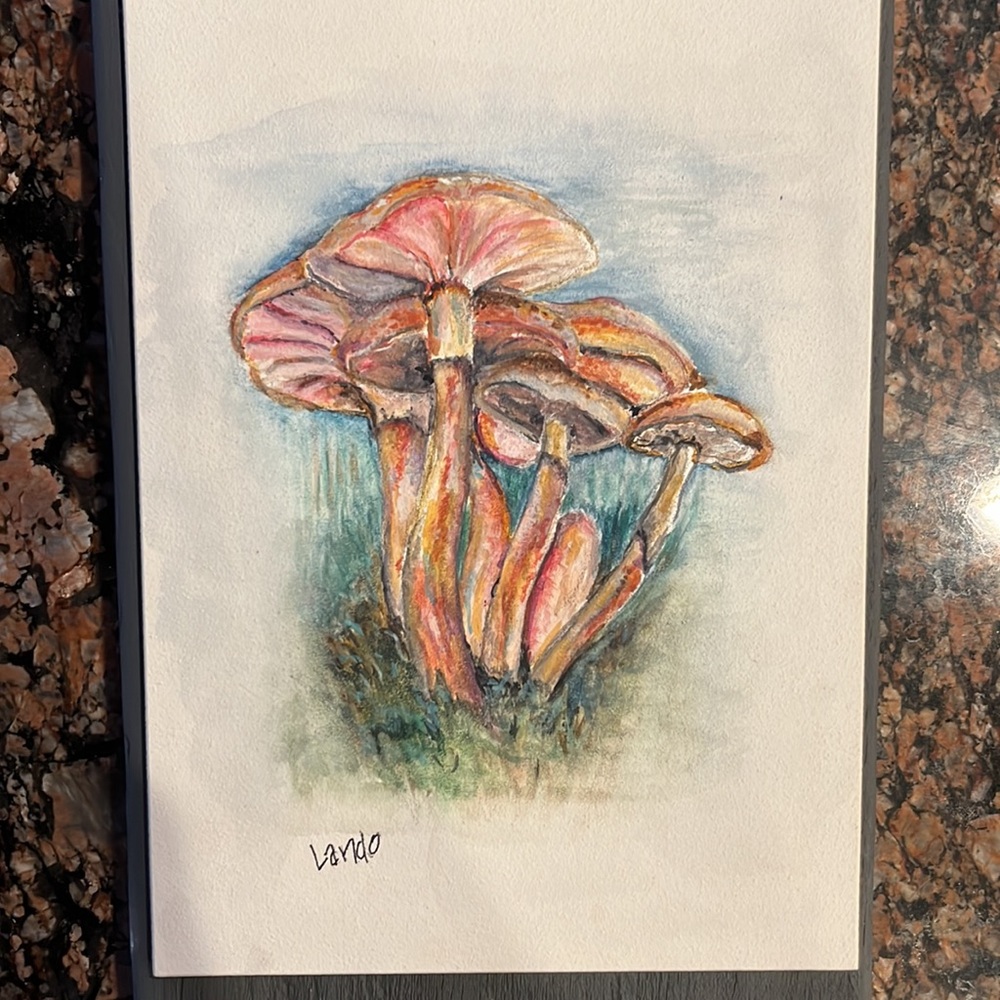 “Mushroom paintings”